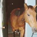 伊藤 詩麻のプロフィール画像