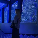 A-LASH れなのプロフィール画像