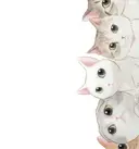 CCちゃん NFYネイルサロンのプロフィール画像