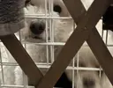 こと このプロフィール画像