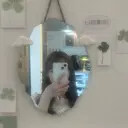 吉井 愛陽のプロフィール画像