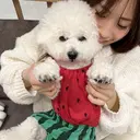 niu🫧kanon /名古屋/丸の内のプロフィール画像