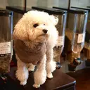 manarino マナリノバイリトルのプロフィール画像