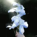 ViVi鈴鹿 田中のプロフィール画像