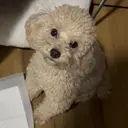 村上 きららのプロフィール画像