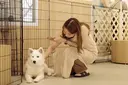 ココラッシュ matsumotoのプロフィール画像