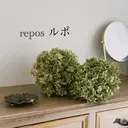リンパケア/ドライヘ ッド🌿reposのプロフィール画像
