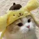 草野 実乃里のプロフィール画像