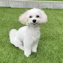 越智 薫奈のプロフィール画像