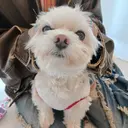 平尾駅前/持込み専門 /owlnailのプロフィール画像