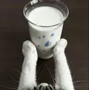 コグマ エリのプロフィール画像