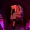 新屋 和花のプロフィール画像