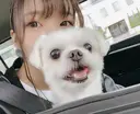 アロマとWAXのお店 Lei 緑橋 Ariのプロフィール画像