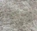 中川 万椰のプロフィール画像