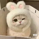 En ☀️のプロフィール画像