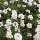 サロンドオフ 梅田店のプロフィール画像