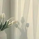 原 さとこのプロフィール画像