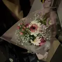 岸本 彩良のプロフィール画像