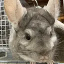 小野原 衣里のプロフィール画像
