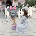 デイジーラッシュ 宮城のプロフィール画像