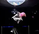 中嶋 瞳のプロフィール画像