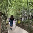 石毛 茜のプロフィール画像