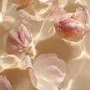 odette nonokaのプロフィール画像