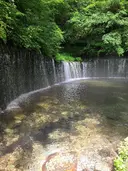 tumehapi akinoのプロフィール画像