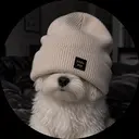 K. Kのプロフィール画像