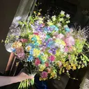 Yan Rainのプロフィール画像