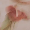 soi. kotomiのプロフィール画像