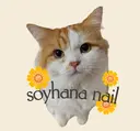 M. Hanaのプロフィール画像