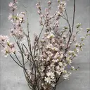 【aca】 YUKIのプロフィール画像
