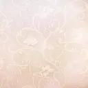 Schon sakiのプロフィール画像