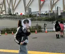 desirbeaux 横尾のプロフィール画像