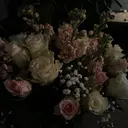 堂脇 杏梨のプロフィール画像