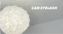CANeyelash Chiiのプロフィール画像