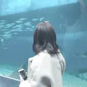 Sana 🦢のプロフィール画像