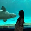 宮原 玲奈のプロフィール画像