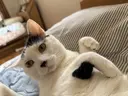田口 友萌のプロフィール画像