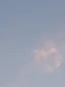 中道 葵のプロフィール画像