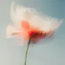 Hi naのプロフィール画像