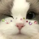 Anri BuffPuppyのプロフィール画像