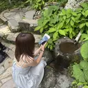 Hayashi Saraのプロフィール画像