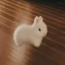 リン リンのプロフィール画像