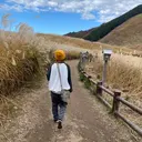 Li’a 貞清実咲のプロフィール画像
