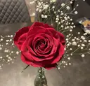 B.rose ビビのプロフィール画像
