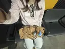 みゆ💫/ 白髪染めモデル募集中のプロフィール画像