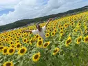 平井 沙希のプロフィール画像