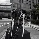 みお/ モデル様募集中⸝⸝꙳のプロフィール画像